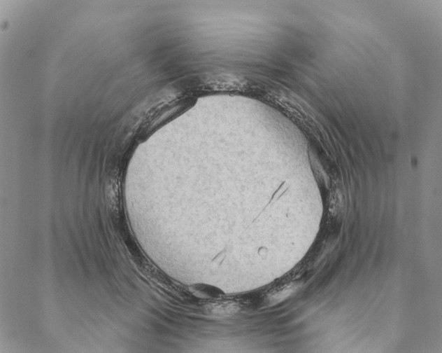 X0000088180604200706121653