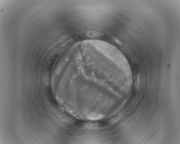 X0000088180606200706121653