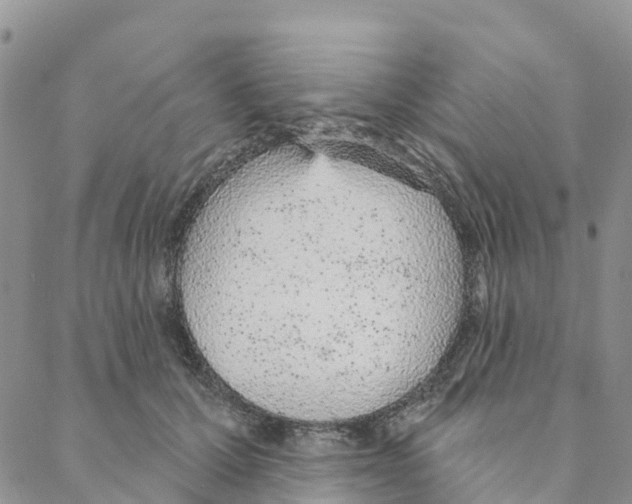 X0000088180607200706121653