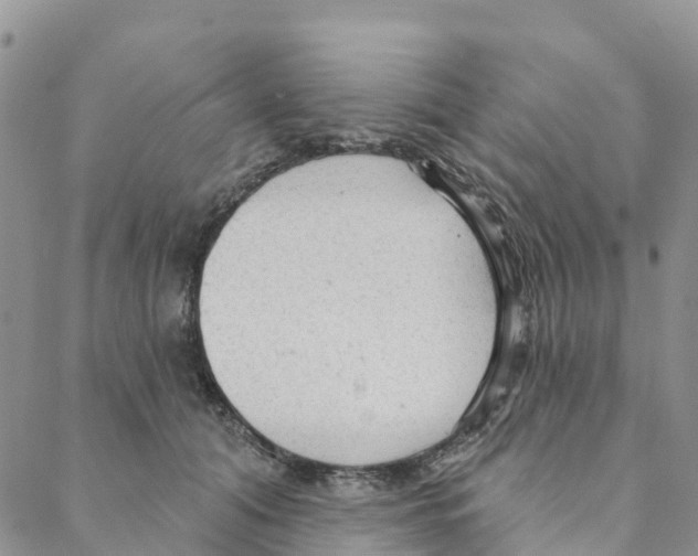 X0000088180608200706121653