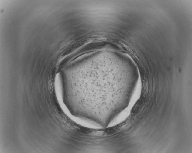 X0000088180609200706121653