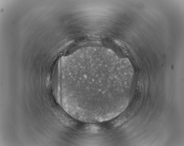 X0000088180610200706121653