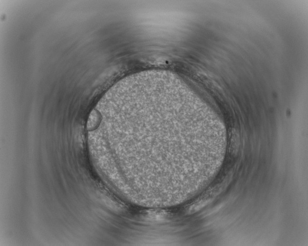 X0000088180612200706121652