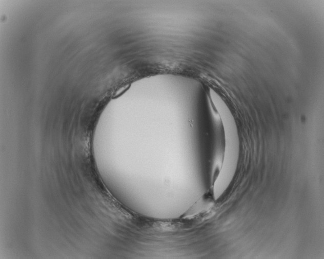 X0000088180613200706121652