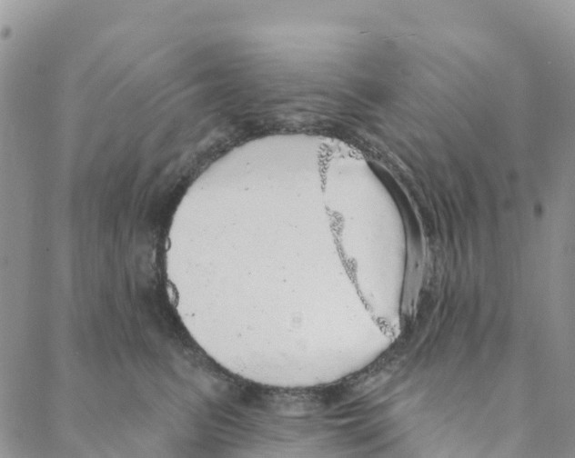 X0000088180615200706121652