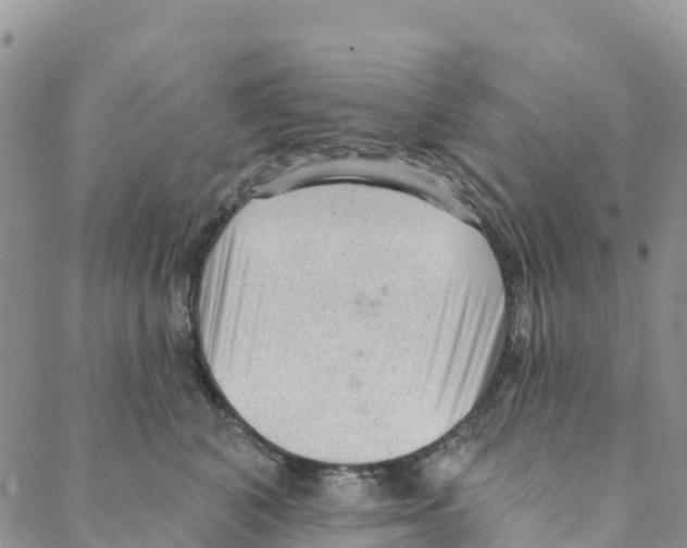 X0000088180616200706121652