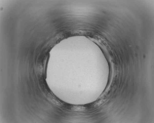 X0000088180617200706121652