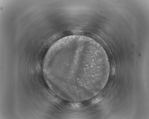 X0000088180618200706121652