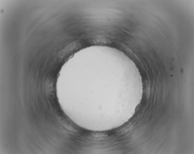 X0000088180619200706121652