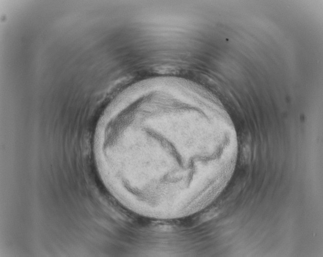 X0000088180620200706121652