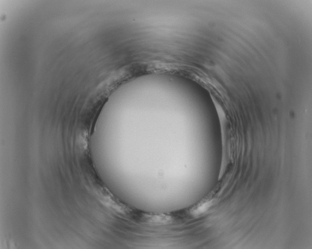 X0000088180621200706121652