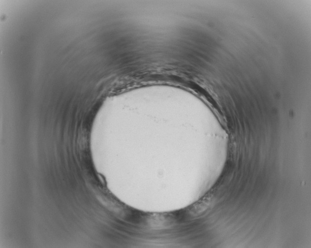 X0000088180623200706121652