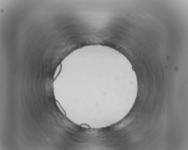 X0000088180624200706121652