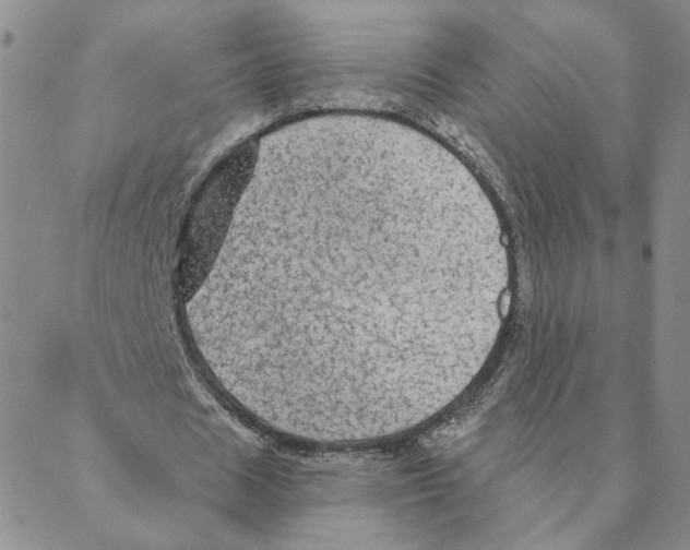 X0000088180625200706121652