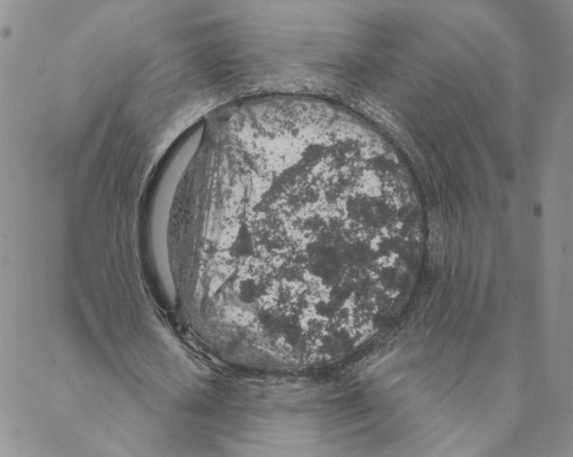 X0000088180626200706121652