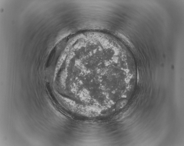 X0000088180627200706121652