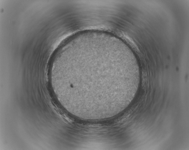 X0000088180628200706121652