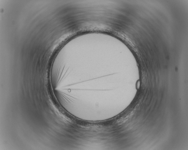 X0000088180629200706121652