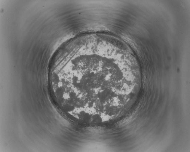 X0000088180630200706121652