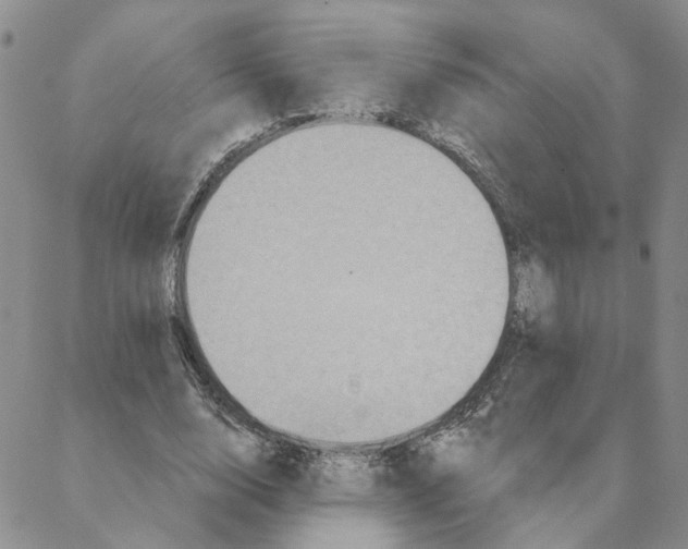 X0000088180632200706121652