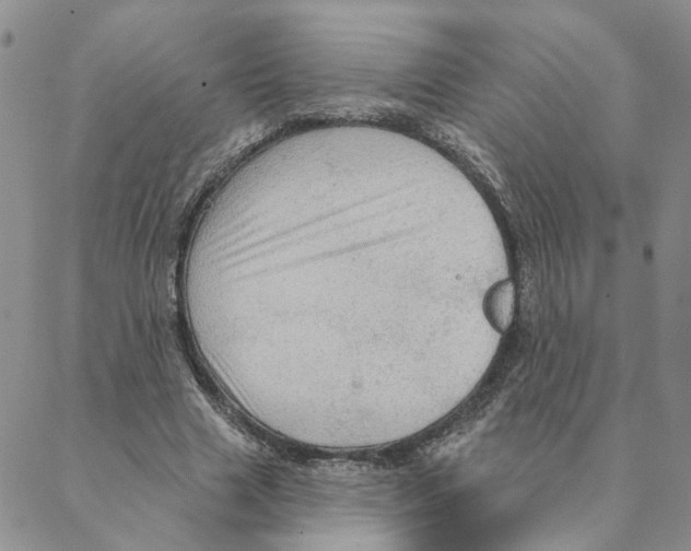 X0000088180633200706121652