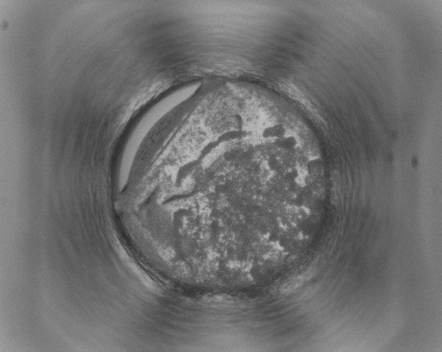 X0000088180634200706121652