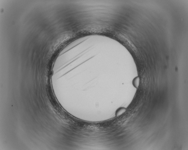 X0000088180635200706121652