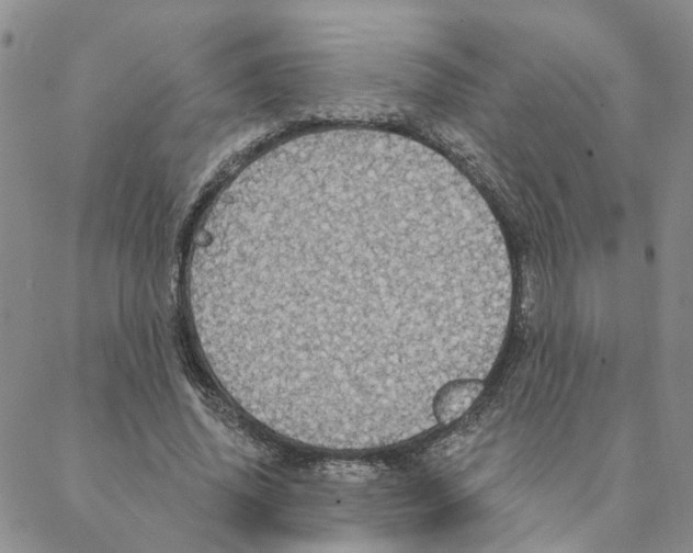 X0000088180636200706121652