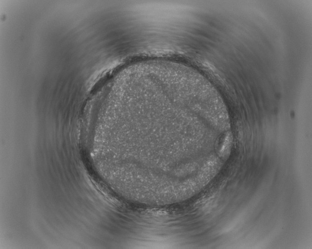 X0000088180640200706121652