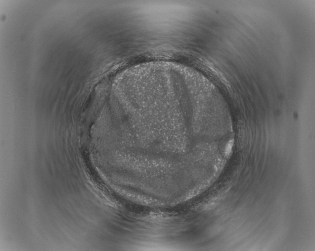 X0000088180641200706121652