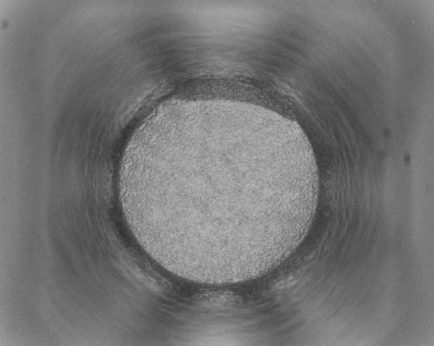 X0000088180642200706121652