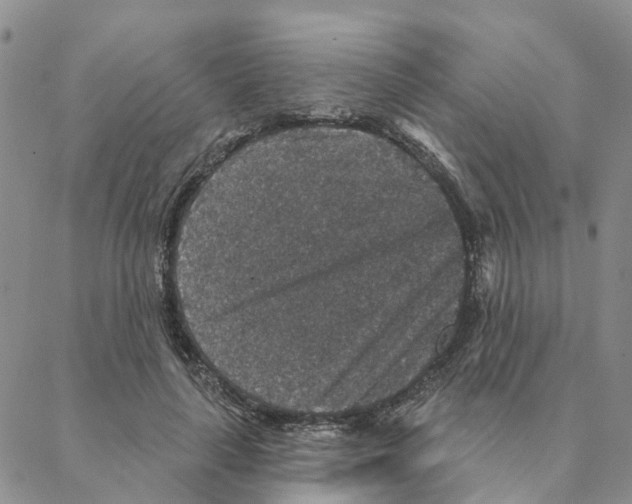 X0000088180643200706121652