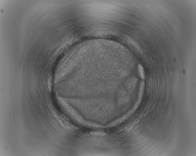 X0000088180644200706121652