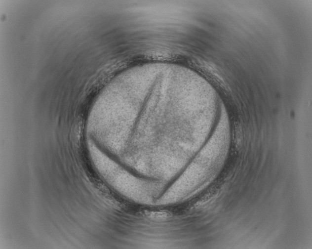 X0000088180645200706121652