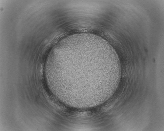 X0000088180646200706121652