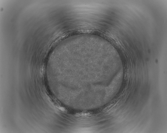 X0000088180647200706121652