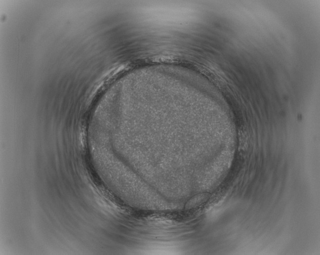 X0000088180648200706121652