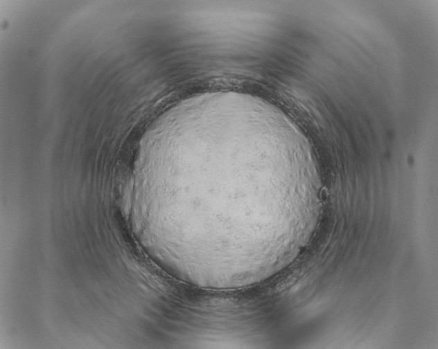 X0000088180649200706121652