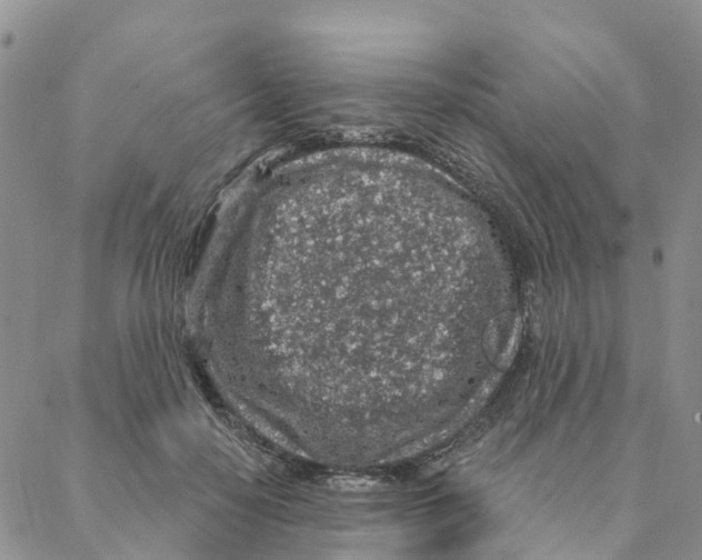 X0000088180650200706121652