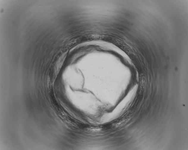 X0000088180651200706121652