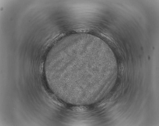 X0000088180652200706121652