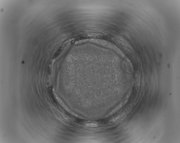 X0000088180653200706121652