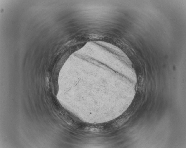 X0000088180655200706121652