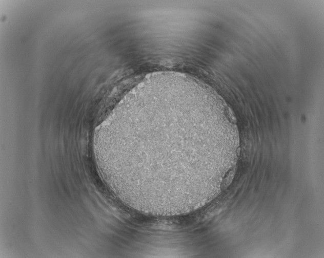 X0000088180656200706121652