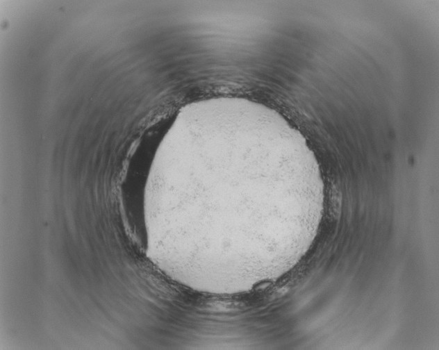 X0000088180657200706121652