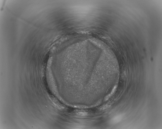 X0000088180658200706121652