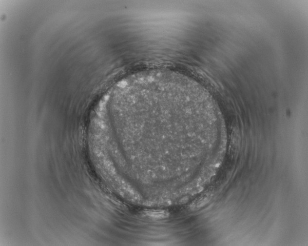 X0000088180659200706121652