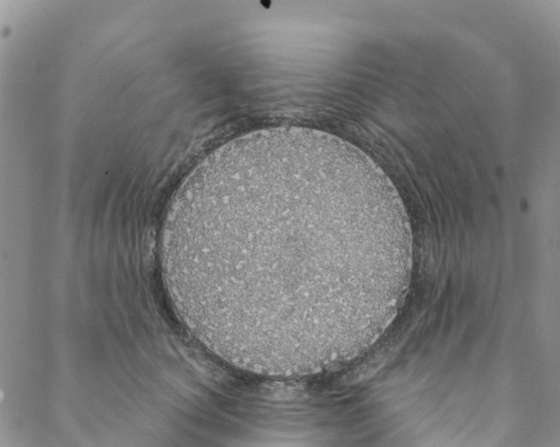 X0000088180660200706121652