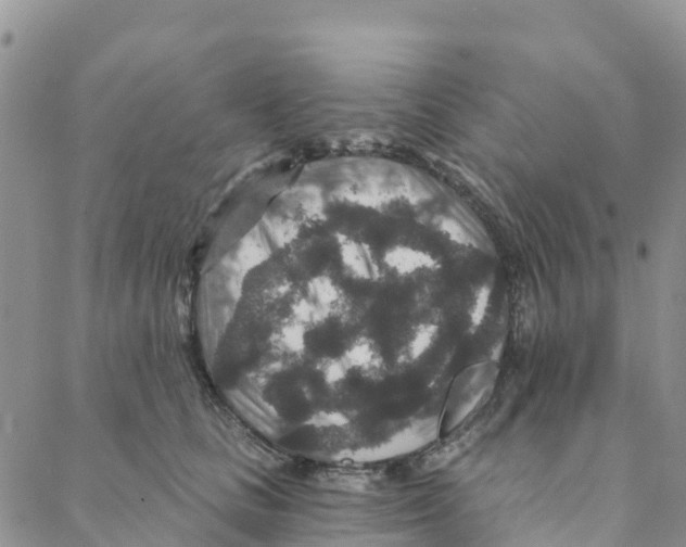 X0000088180661200706121652