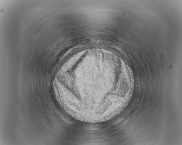 X0000088180664200706121652